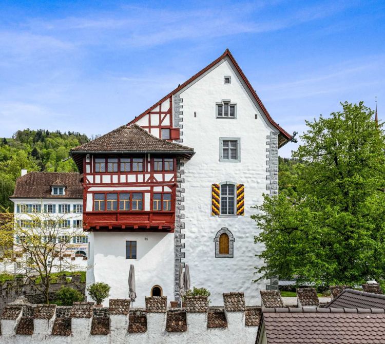 Die Schweizer Schlösser